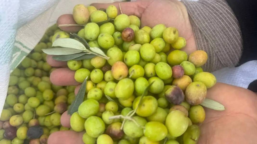 Akseki’de 88’lik Emine Teyze Gençlere Taş Çıkartıyor! 5